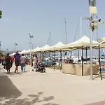 The Summer Haven
