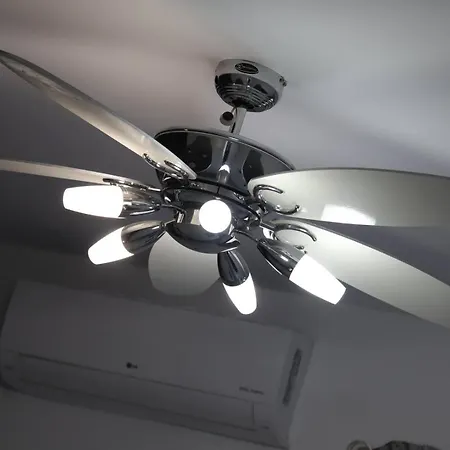 The Summer Haven * Polis