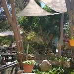 The Summer Haven *