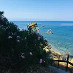 The Summer Haven
