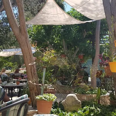 The Summer Haven *