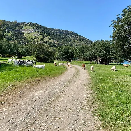 The Summer Haven Tatil Evi Polis