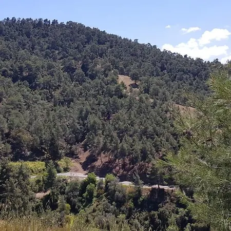 The Summer Haven Tatil Evi Polis