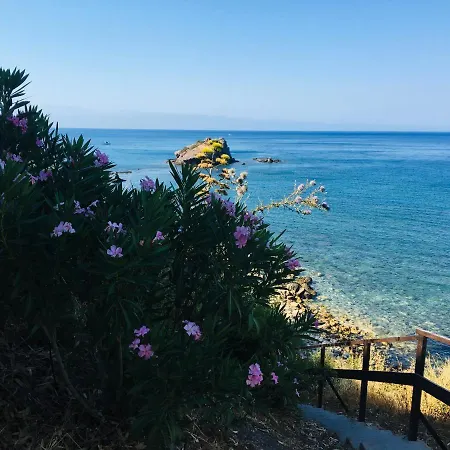 The Summer Haven