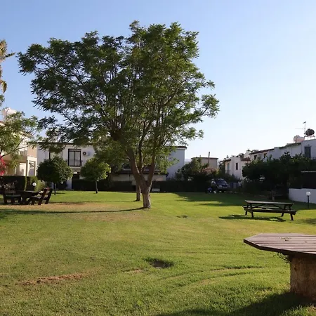 The Summer Haven Polis