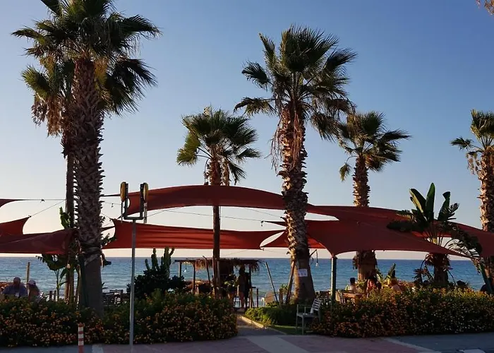 The Summer Haven 別荘 *