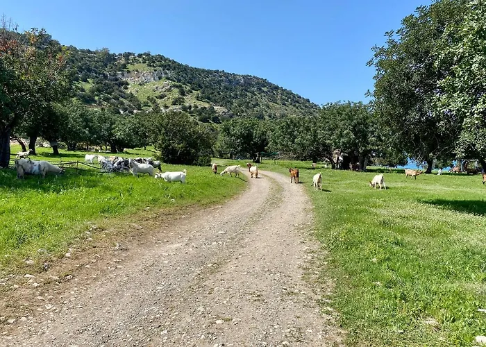 The Summer Haven 別荘 Polis