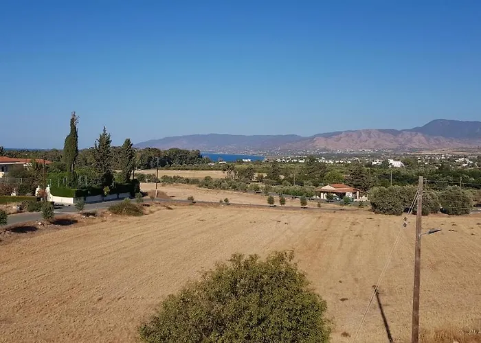 The Summer Haven Polis