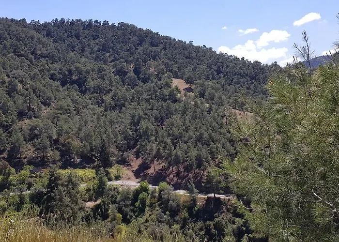 The Summer Haven 別荘 Polis