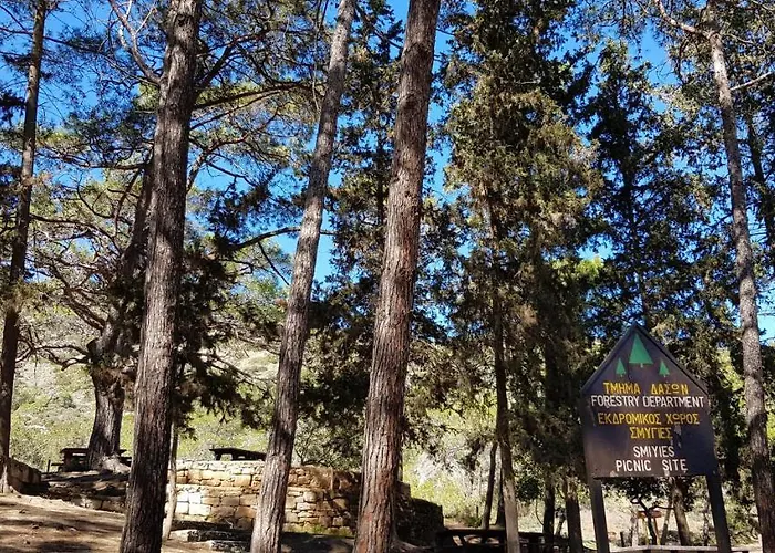 The Summer Haven 別荘