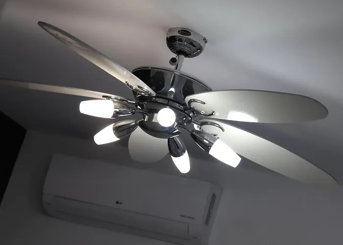 The Summer Haven * Polis