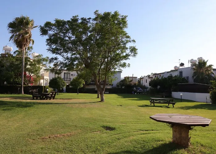 The Summer Haven Polis